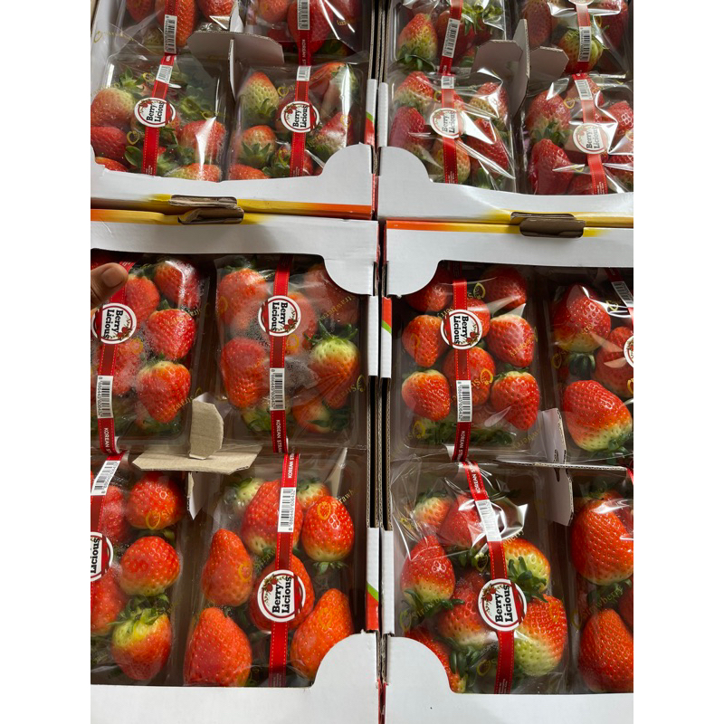 

FRESH STRAWBERRY KOREA PREMIUM - STROBERI IMPORT 1 dus