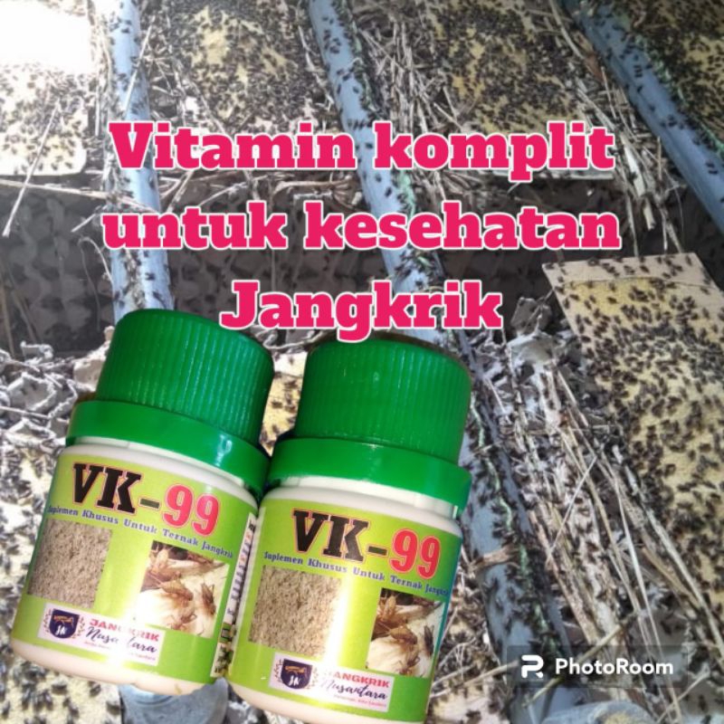 Vitamin jangkrik VITABOOST