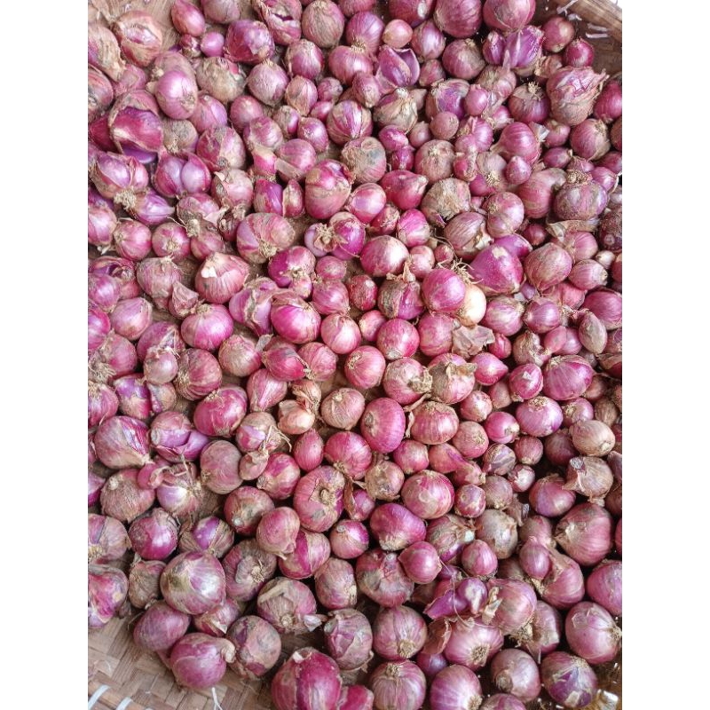

bawang merah 1 kg