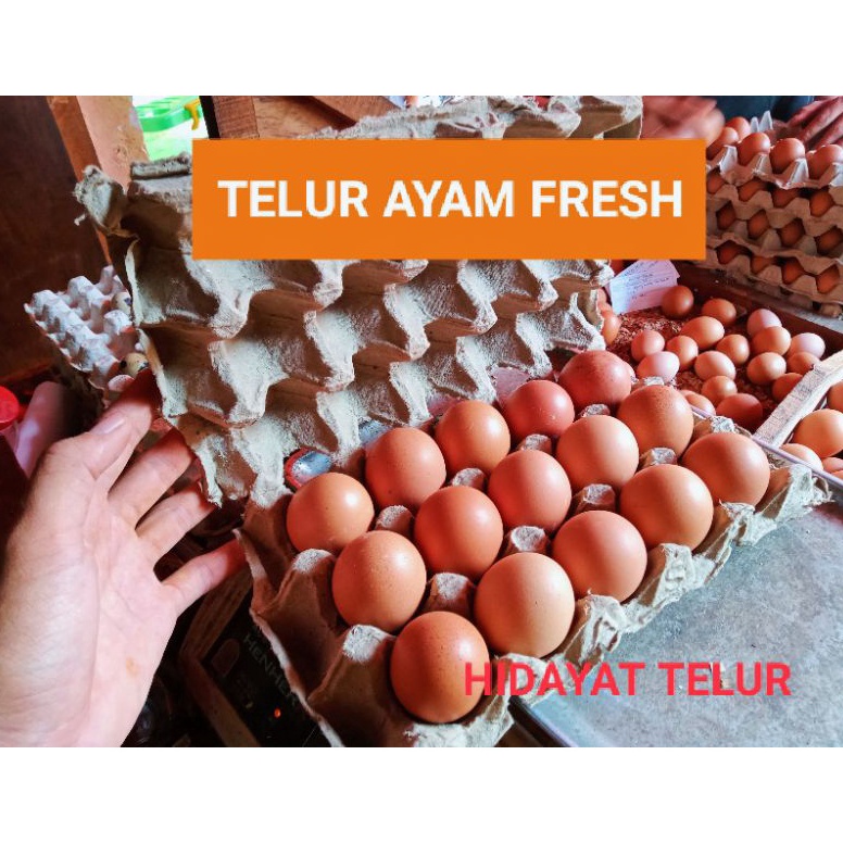 

NEW TELUR AYAM NEGERI PER 15 BUTIR