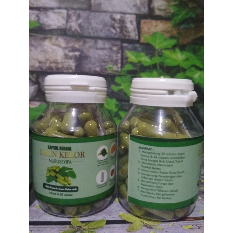 

Ekstrak Daun Kelor | Kapsul Herbal | Herbal JSR