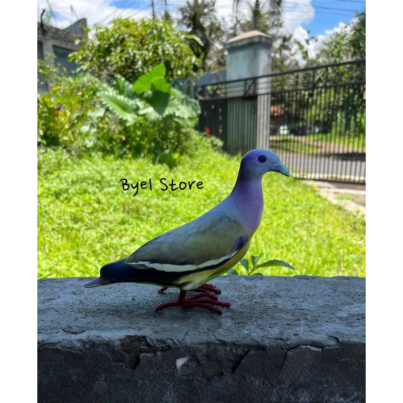 Patung Burung Punai Gading Betina