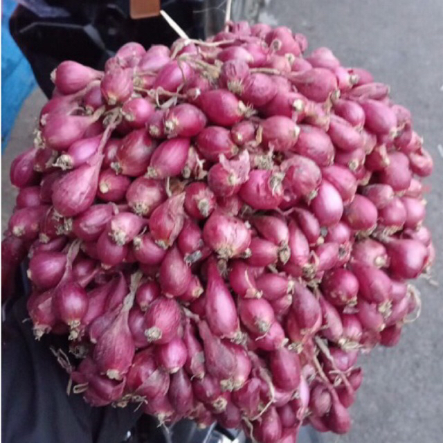 

BAWANG MERAH BREBES MURAH 5KG KUALITAS BAGUS