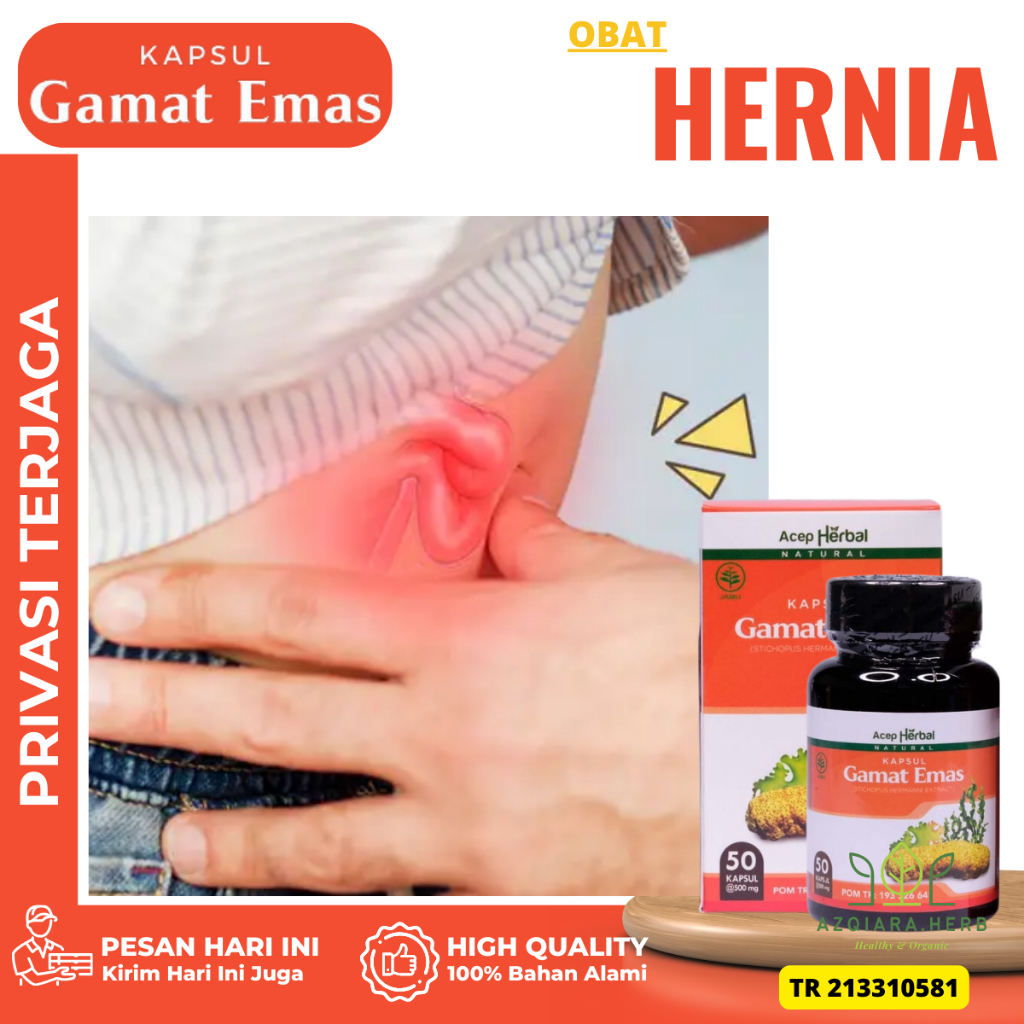Obat Hernia, Obat Turun Berok, Obat Buah Zakar Bengkak Benjolan, Obat Hernia inguinalis, Obat Hernia