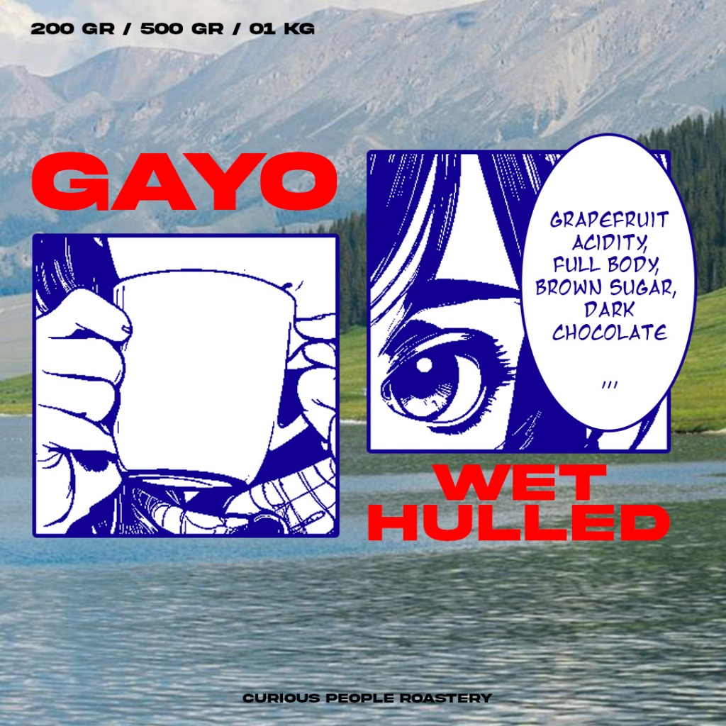 

Biji Kopi Arabica Gayo Takengon Wet Hulled - 100% Arabica