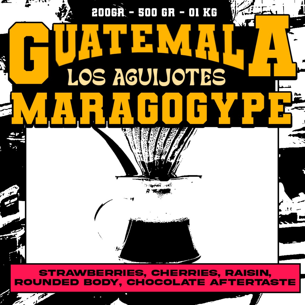 

Biji Kopi Arabika - Guatemala Maragogype Los Aguijotes