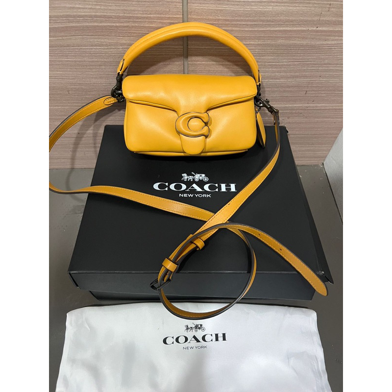 coach pillow tabby 18