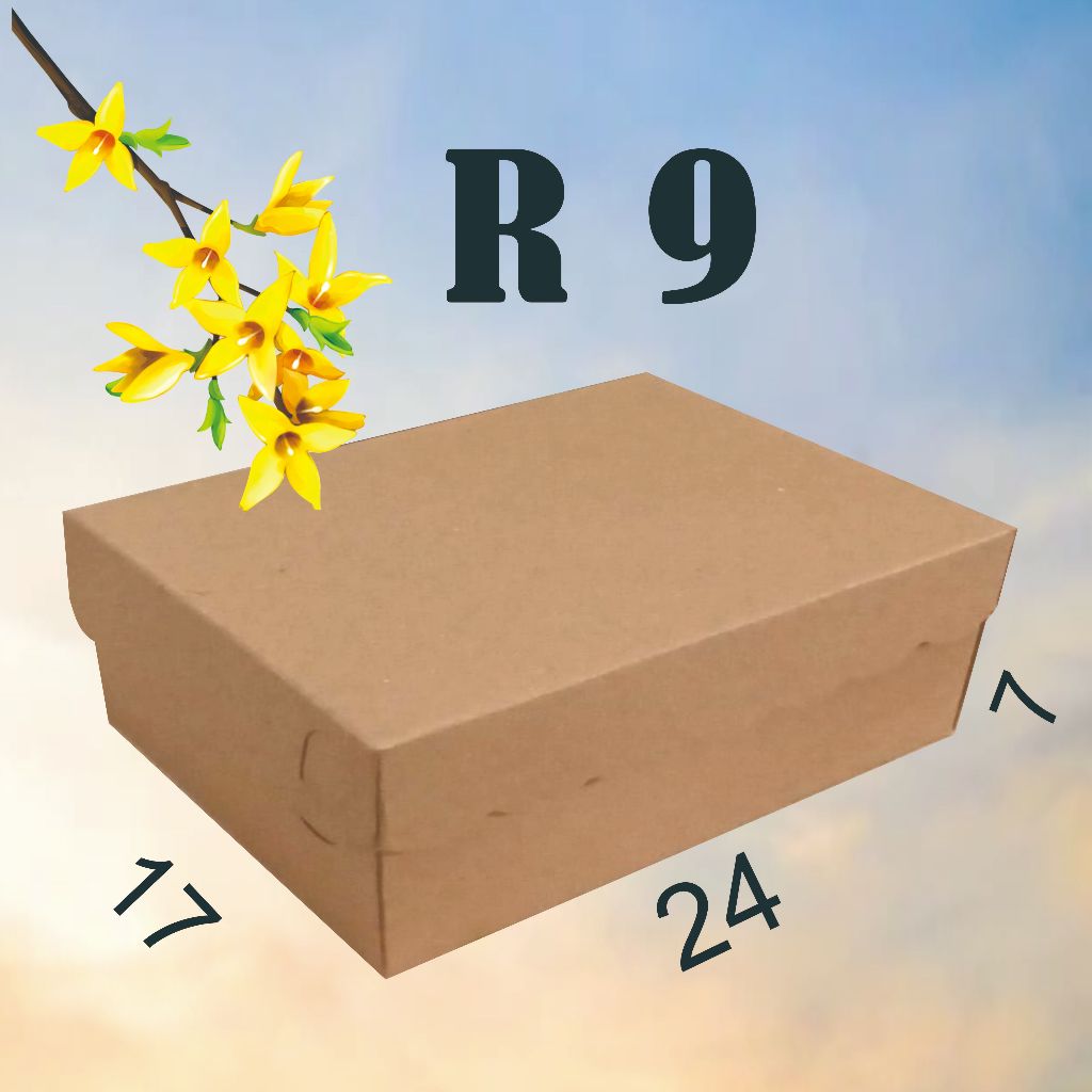 

R9 BKRAFT 350 isi 100 lmb ukr 24x17 Dus/Hampers/Box/Suvenir/ KOTAK Nasi Kue Roti