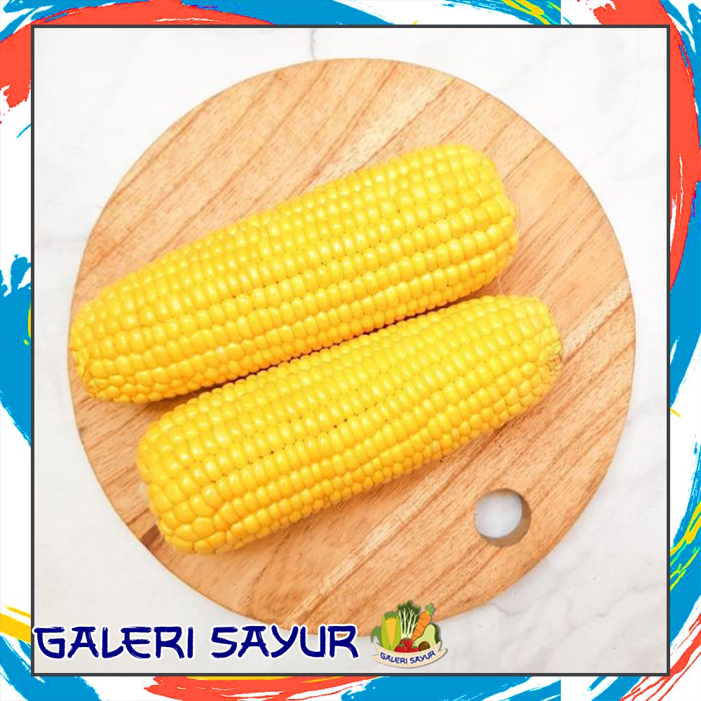 

KIRIM INSTAN Jagung Manis Kupas Fresh