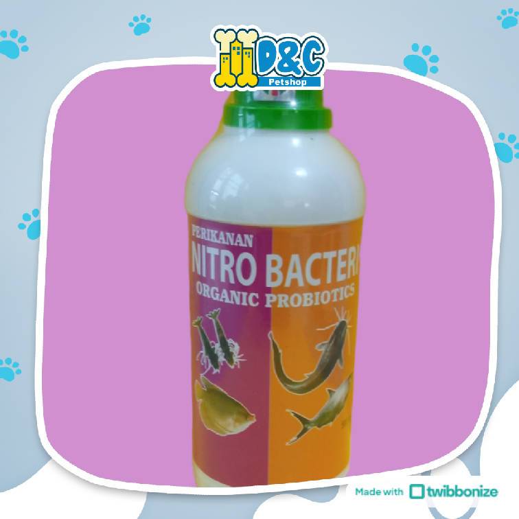 NITROBACTER 500ML - CAIRAN PROBIOTIK PENGURAI AMMONIA OBAT PENGILANG BAU KOLA TAMBAK IKAN MENURUNKAN