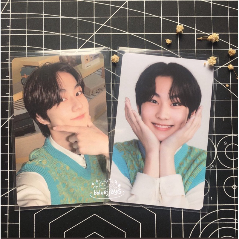 Photocard Jungwon TC Chibi Enhypen