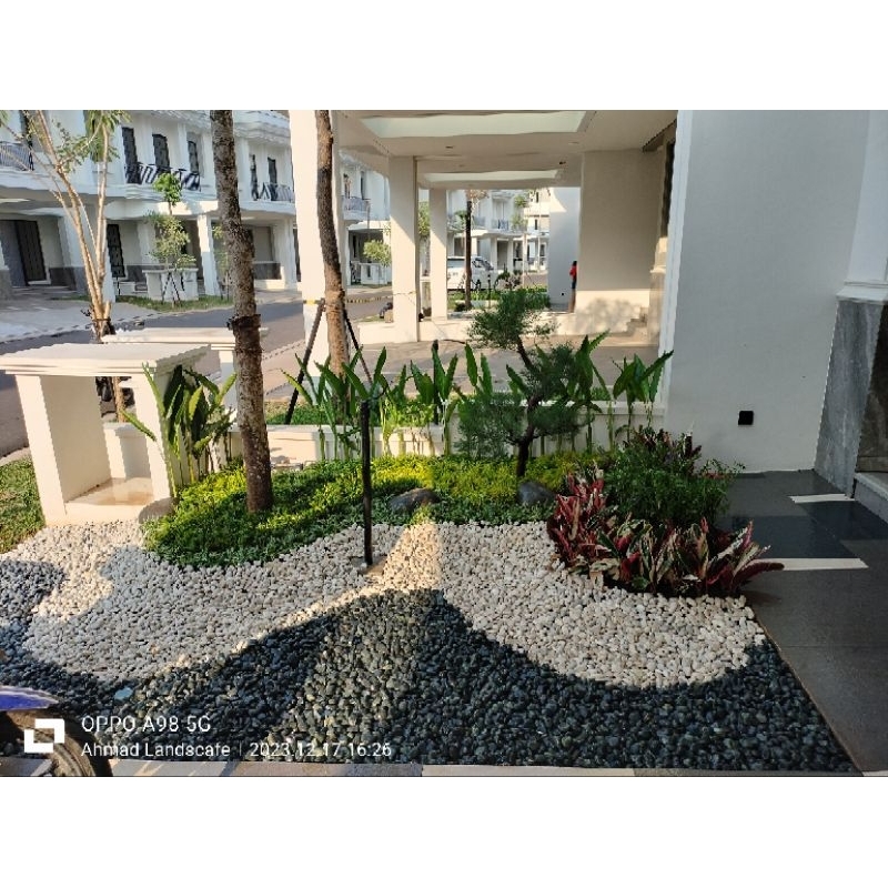 Desain Taman kering BatuKoral