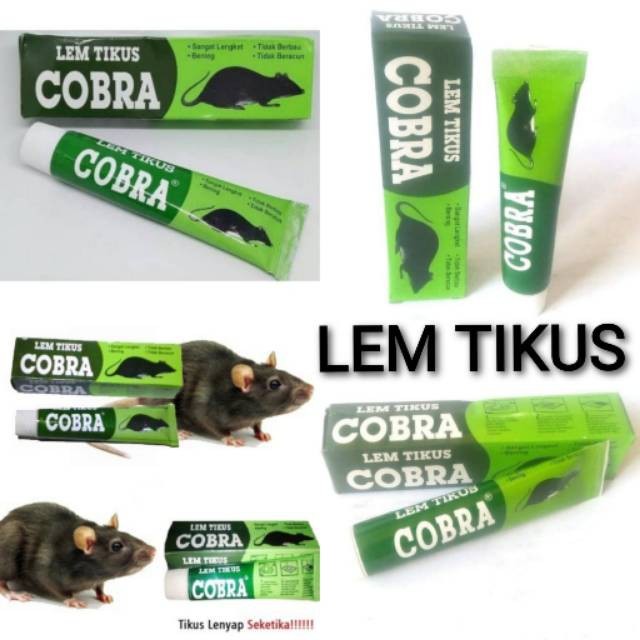 LEM TIKUS /JEBAKAN TIKUS  Super Lengket / COBRA / LEM TIKUS COBRA