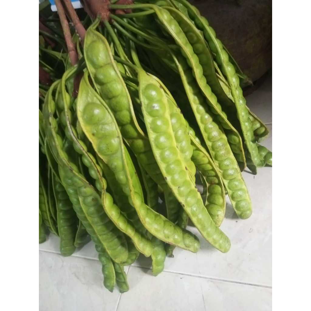 

Pete 1 ikat (20 keris)