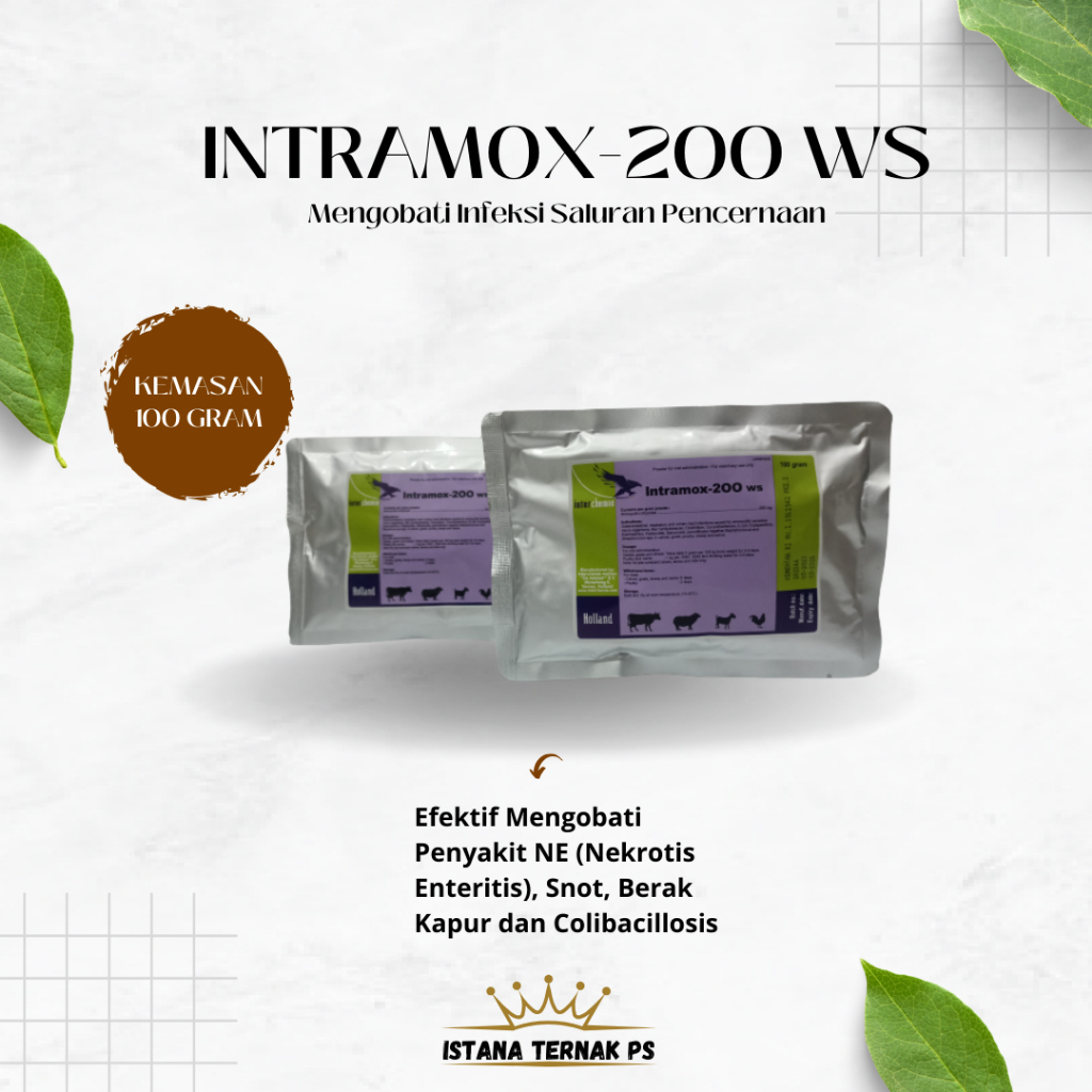 Intramox 200 WS Antibiotik untuk mengobati penyakit saluran pencernaan dan pernafasan pada ternak 10