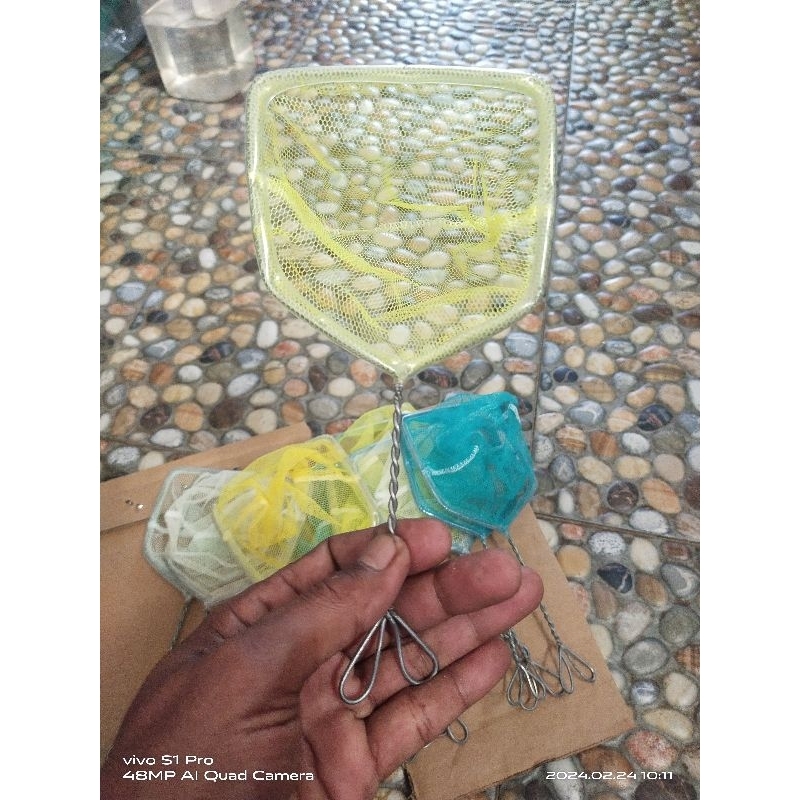 Serokan ikan cupang tangguk seser glowfish