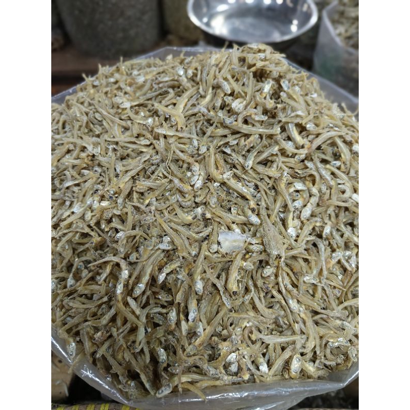 

ikan teri mandeh