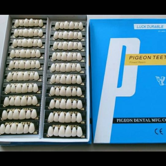 Hemat Gigi Palsu Pigeon anterior depan  gigi tiruan  resin teeth dental