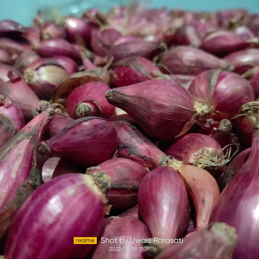 

Bawang Merah Asli Brebes 1kg Fresh Kering