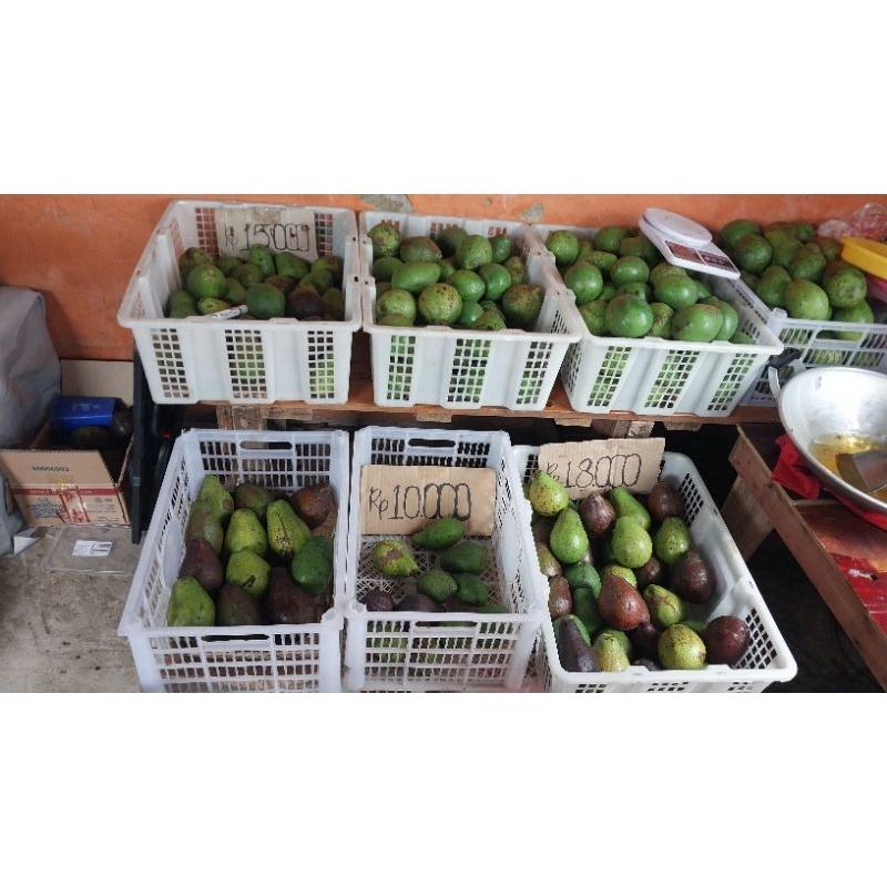 

Khusus 5kg Alpukat siap makan