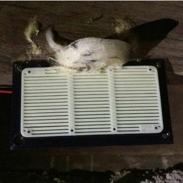Speaker tweter walet Piro PR88 /PR 88 putih di-SOLDER ELKO + KABEL