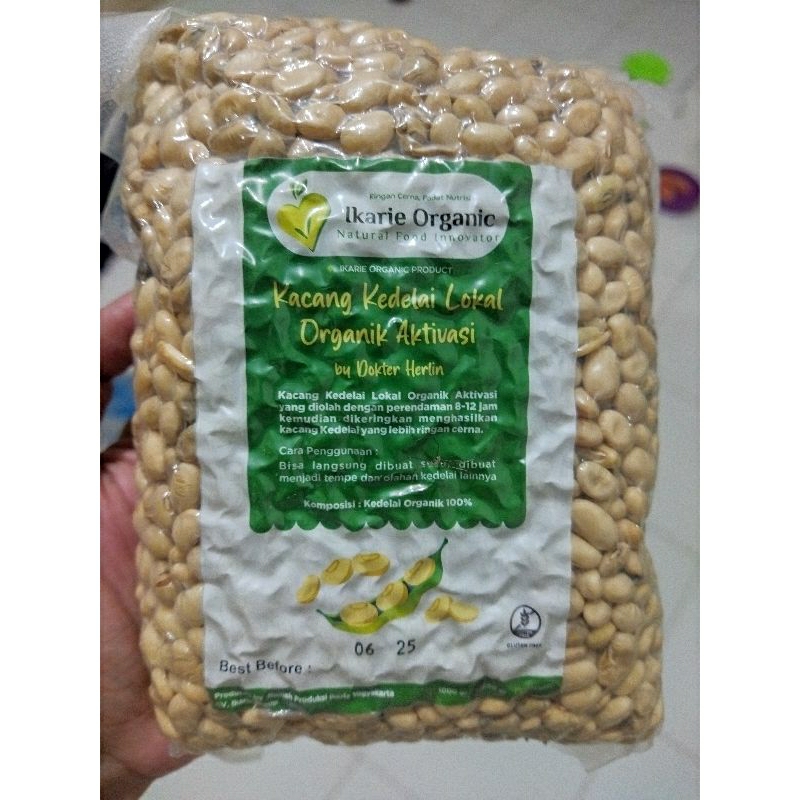 250gr kedelai organik aktivasi kacang kedelai lokal non gmo kacang kedelai organik