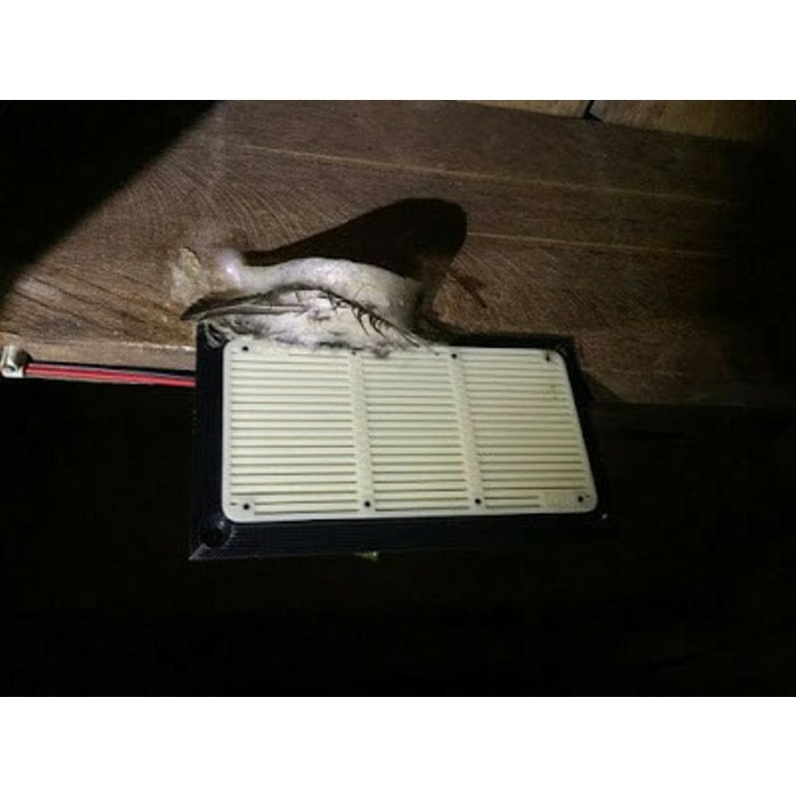 (JUAL 1 DUS = 60 PCS ) Tweter Walet piro PR 88 / PR88 – Original