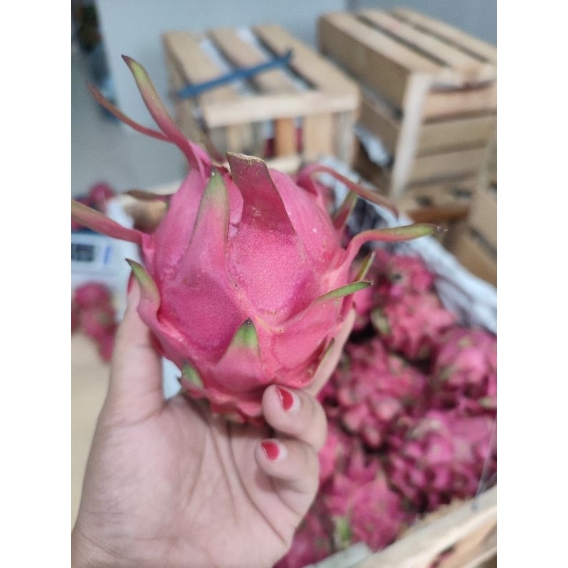 

BUAH NAGA MERAH MIX / GRADE B & C