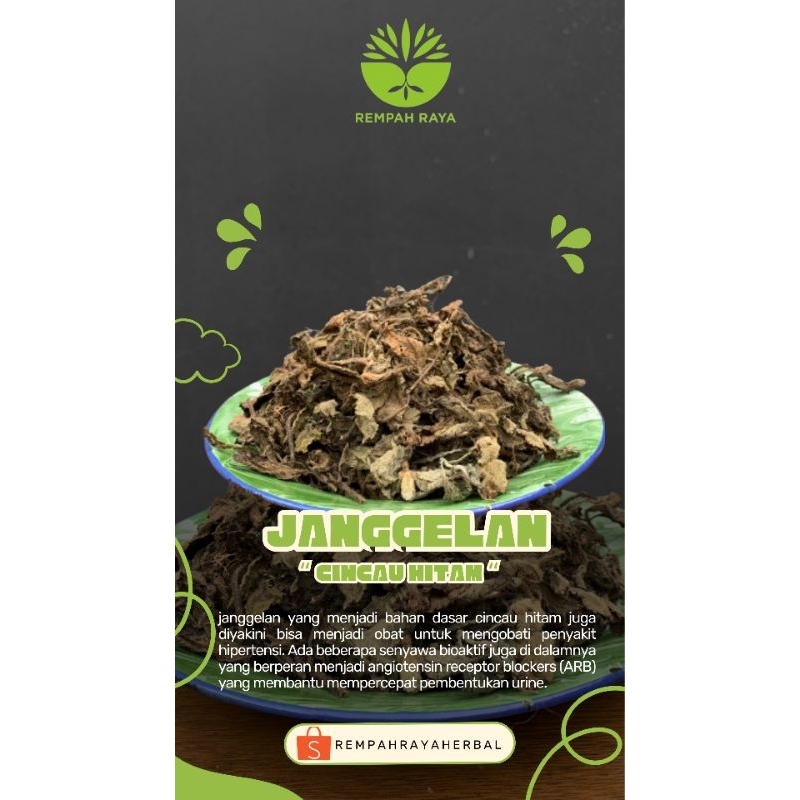 

Daun Janggelan asli pacitan/ Daun Cincau Murni 1 kg