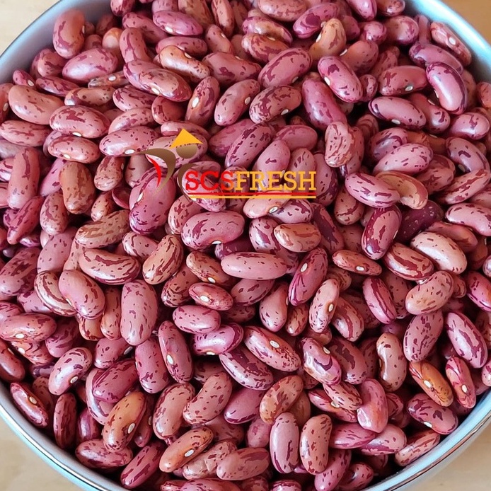

KI3 KACANG MERAH KACANG JOGO KACANG ES CAMPUR KACANG UNTUK SOP