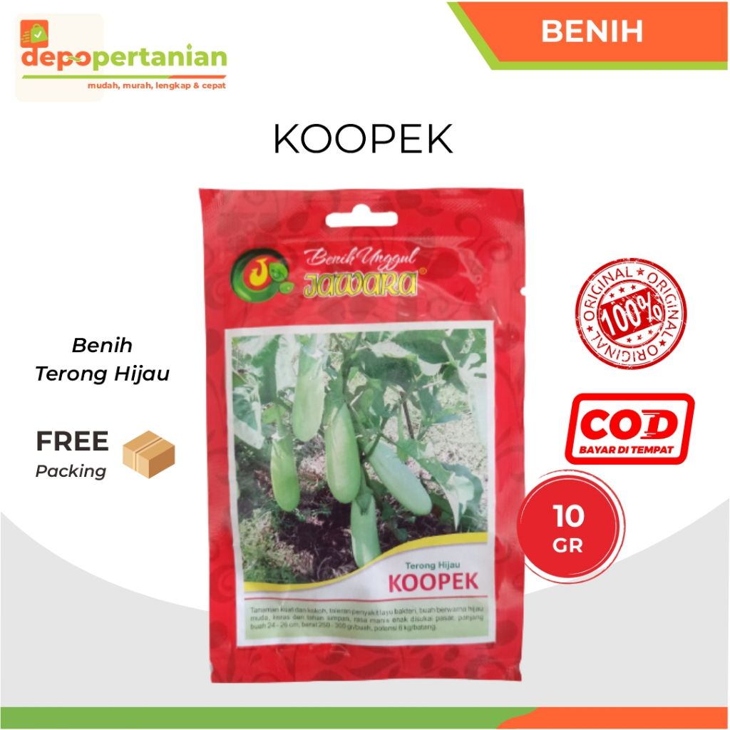 Depo Pertanian - Benih Terong Hijau Kopek 10 gram BIbit Terong Koopek Benih Unggul Jawara