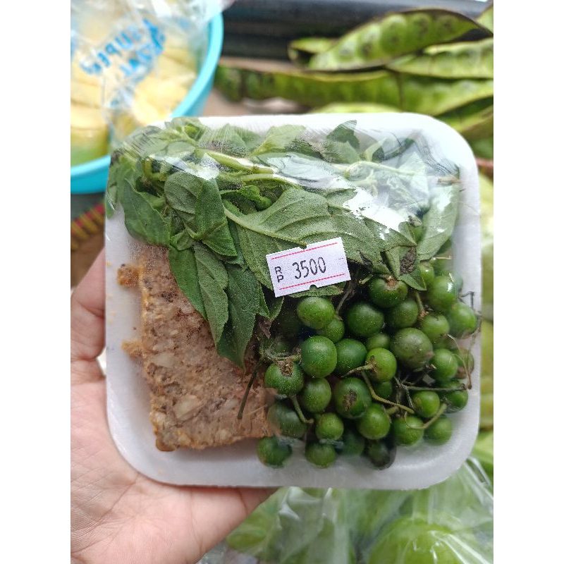 

SAYUR GEBRUS ULUKUTEK LEUNCA FRESH