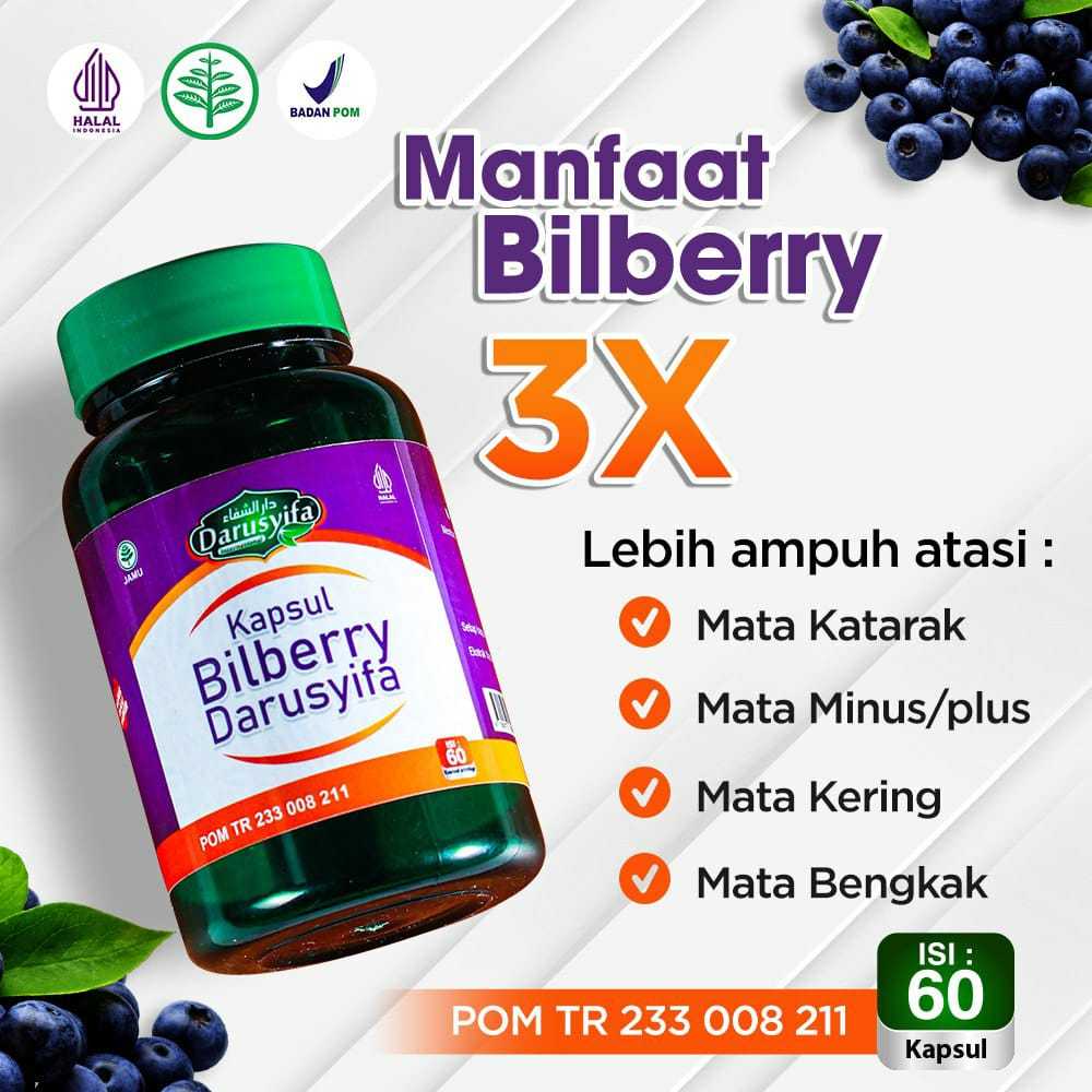Bilberry Darusyifa //Vitamin mata// Obat Mata herbal// Obat Mata Minus//obat katarak