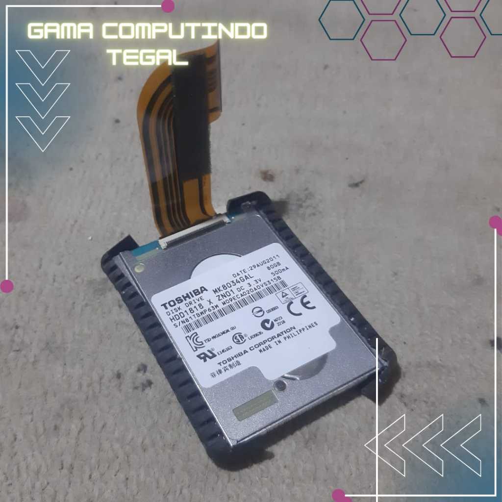 HARDISK HANDYCAM SONY 80GB