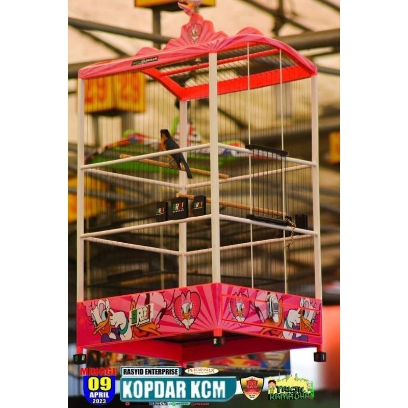 Sangkar BRO ambrukan mentahan ruji senar full tebal