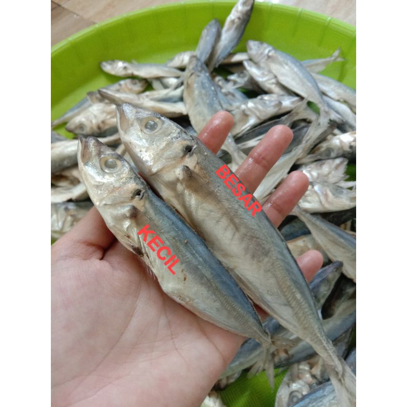 

IKAN ASIN KLOTOK / ikan layang kering 500 gram