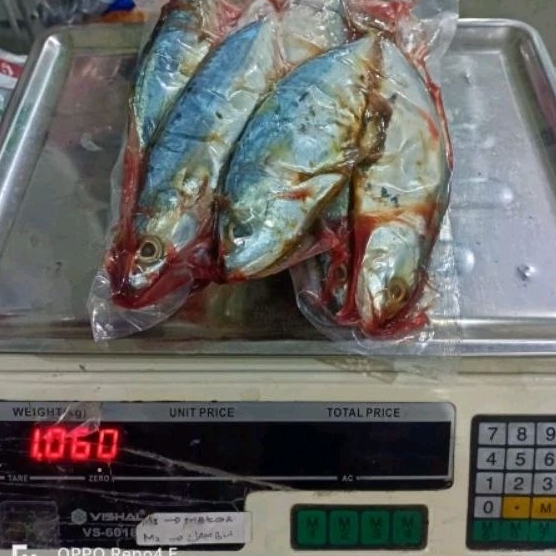 

Ikan Kembung isi 8