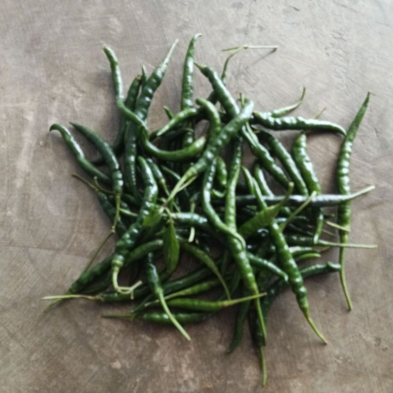 

cabe keriting ijo 250 gram