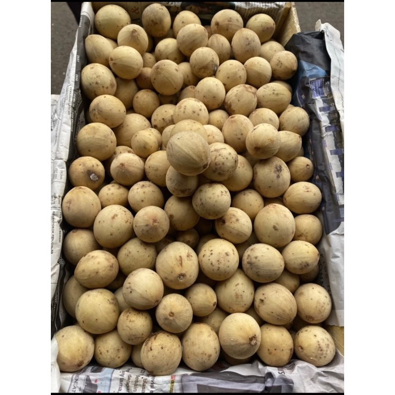 buah duku palembang manis 1kg