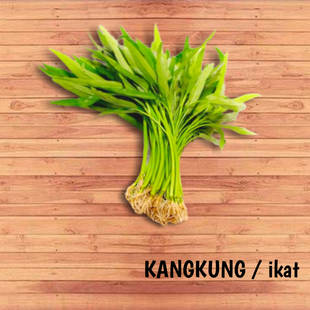 

KANGKUNG SAYUR SEGAR / ikat | PROMO TOKO BARU SUPER MURAH