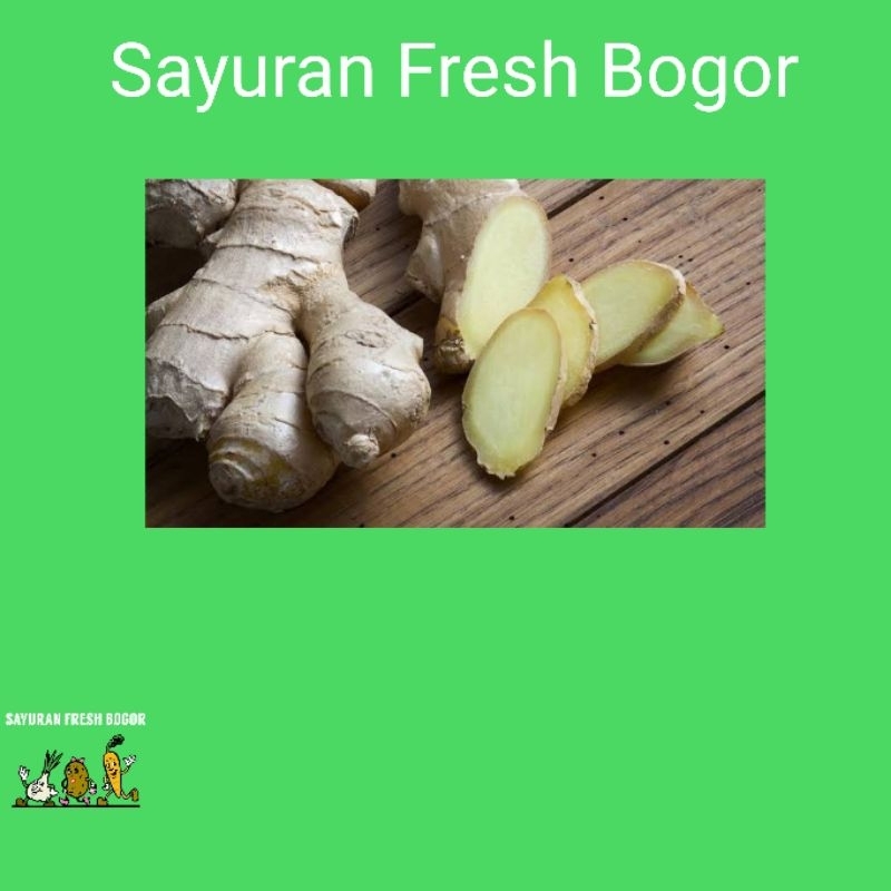 

Jahe Putih Segar ( 250 Gram ) | Sayuran Fresh Segar