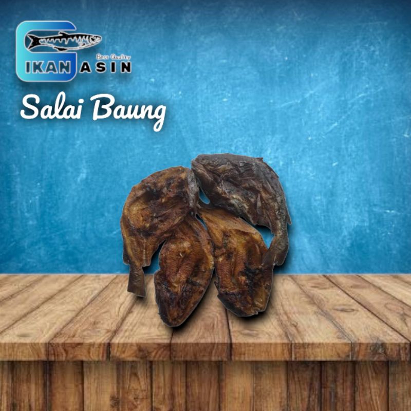 

Salai Baung Kualitas Super