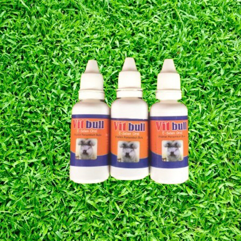 vitbull (vitamin bulu kelinci)