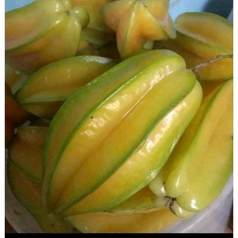 

belimbing 1 kg
