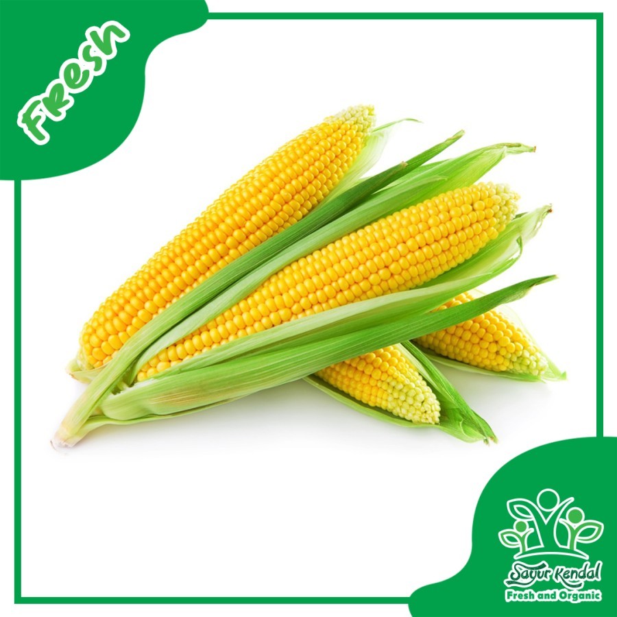 

Jagung Manis (Satuan) - Sayur Kendal Sawangan