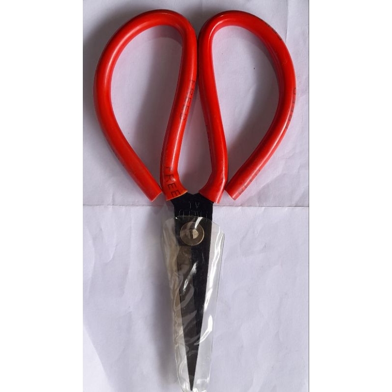 

Gunting Kodok (FREED)