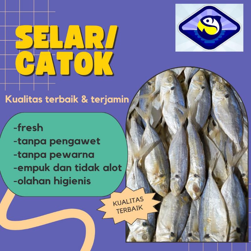 

Ikan Asin Selar Besar/Catok Besar Berat 250g 500g 1kg