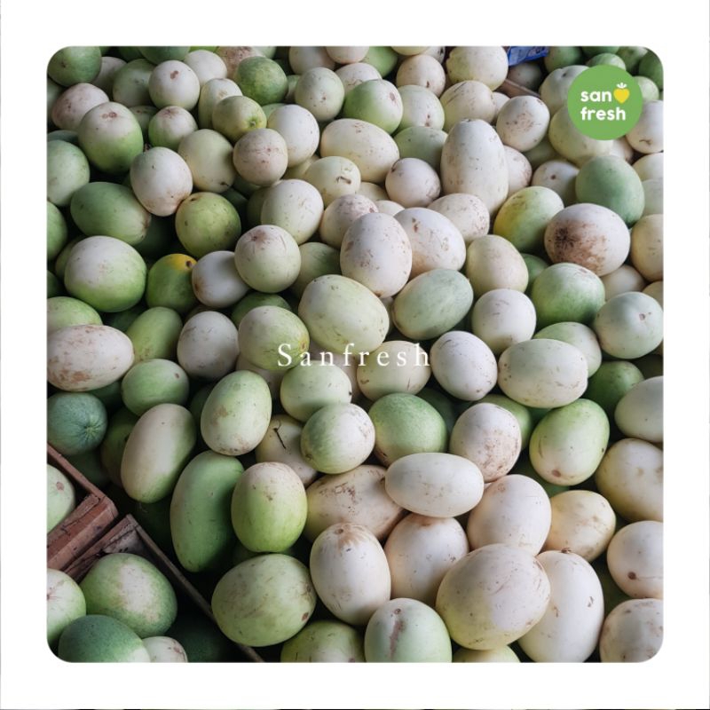 Timun Suri Segar & Manis - Sanfresh