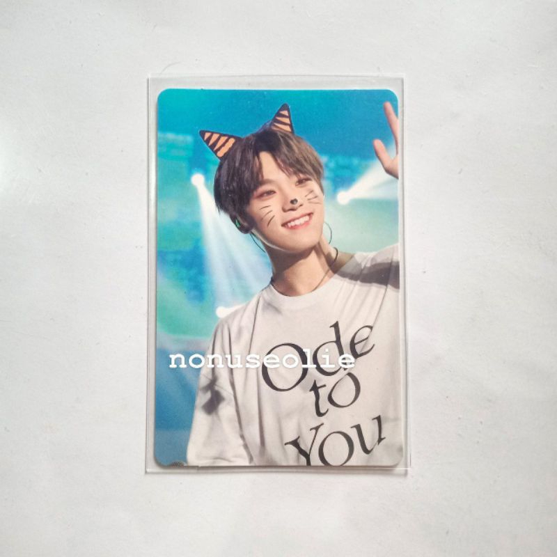 dino meong cat dvd oty ode to you japan jp normal seventeen