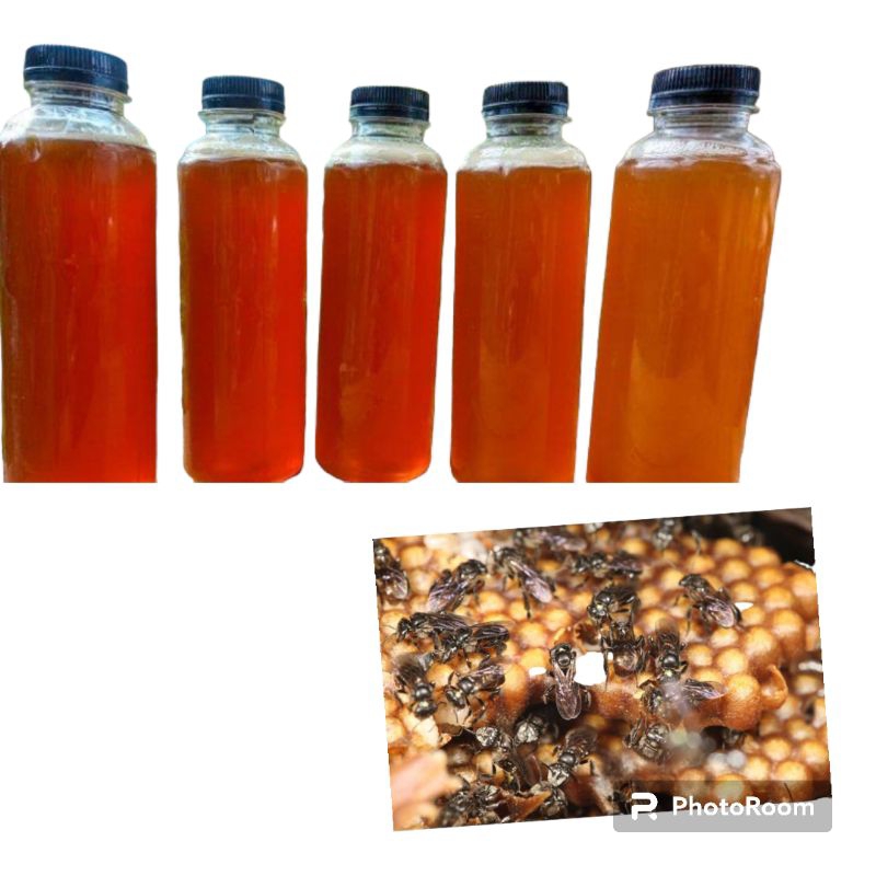 

MADU KELULUT ASLI BORNEO KALIMANTAN